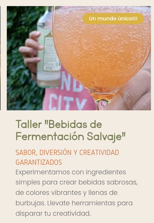 Taller de bebidas de fermentación salvaje