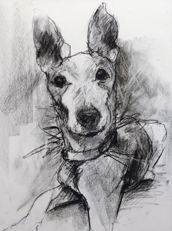 A drawing of a dog

Description automatically generated