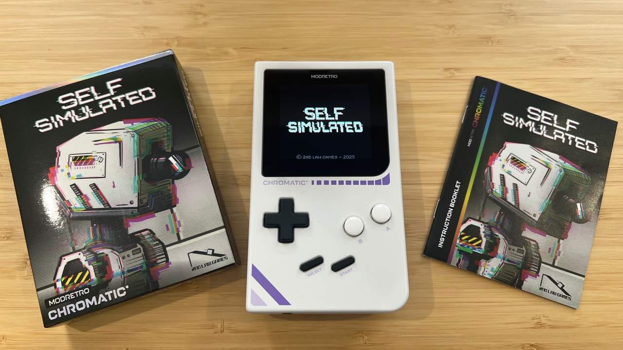 Self Simulated Self Simulated