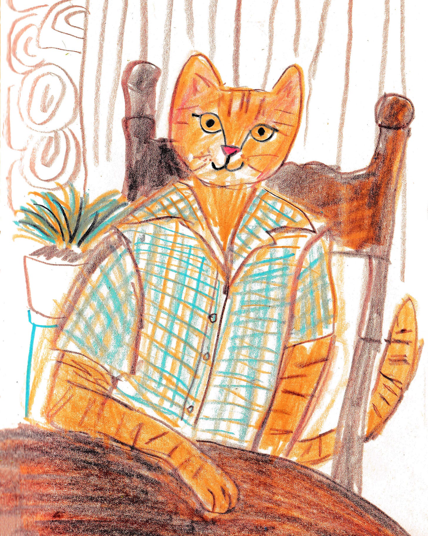 cat portrait by Beth Spencer