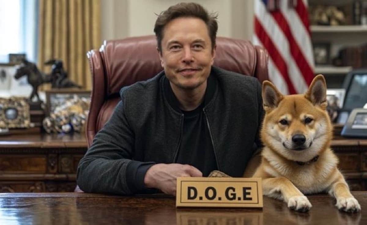 Need Revolutionaries For 80+ Hours Per Week": Elon Musk's DOGE Is Hiring