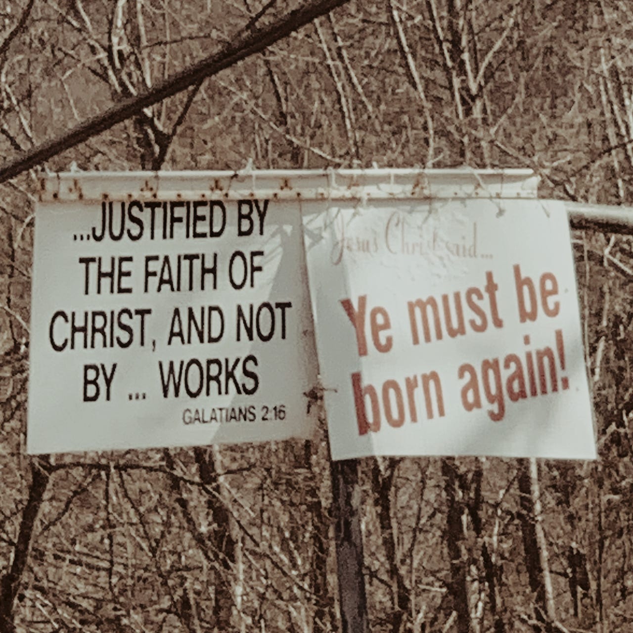 among creation