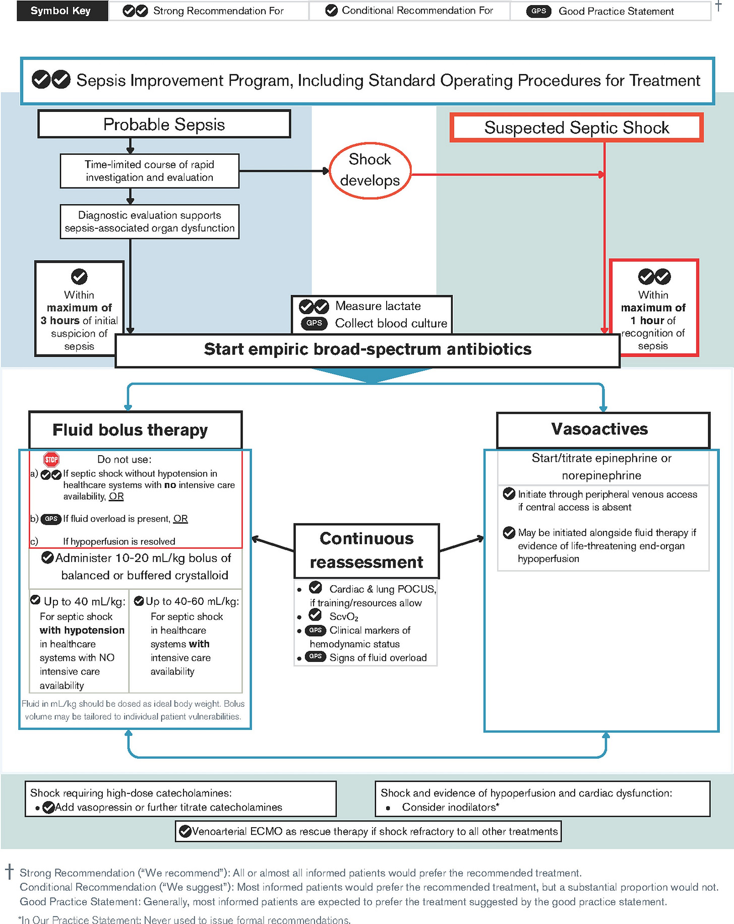 ECMO = extracorporeal membrane oxygenation, GPS = good practice statement, POCUS = point-of-care ultrasound, Scvo2 = central venous oxygen saturation.