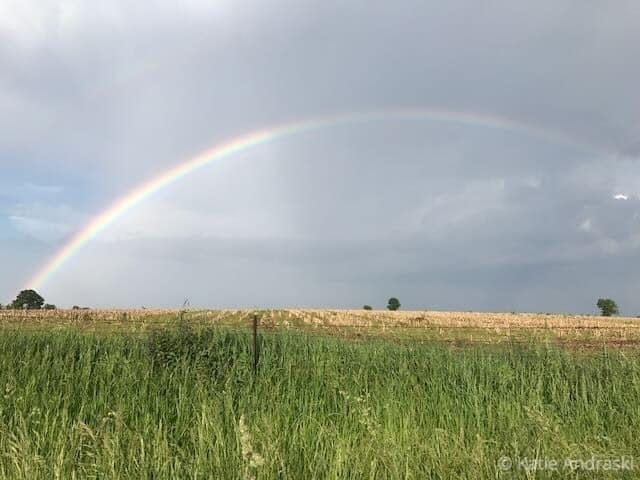 A bright rainbow arches over a grassy field under a cloudy sky.
