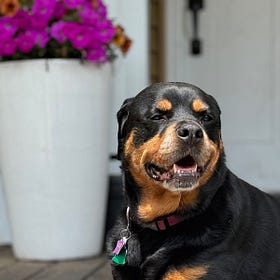 Contrarian Pet of the Week