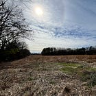 90 townhouses, gas & fast food proposed for Croaker/Rochambeau intersection in James City