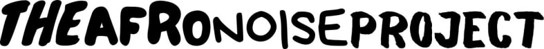 The Afro Noise Project