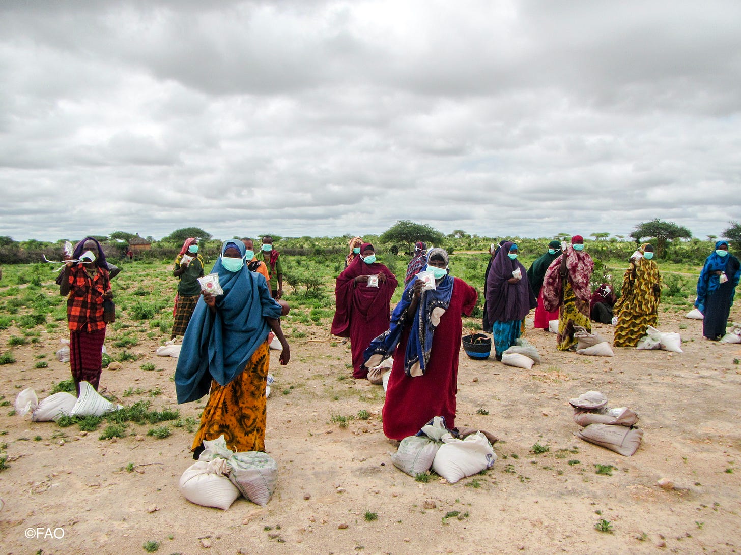 Women Farmers Somalia - PO_SOM_202005130002.jpg