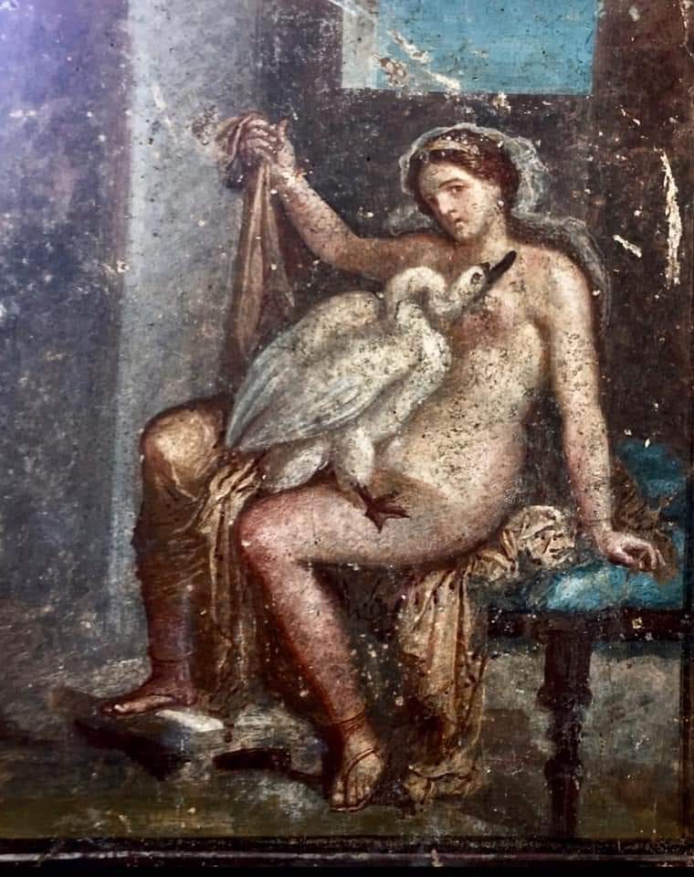 Leda and the Swan, a Roman fresco found in Pompeii in 2018: Leda seated with the swan in her lap
