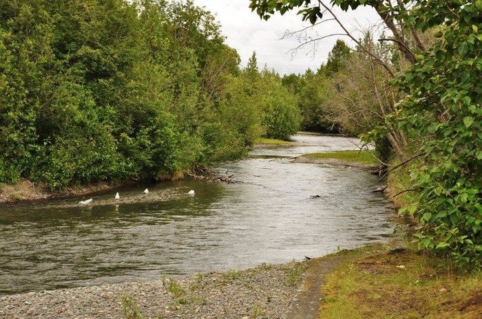 Ship Creek in Anchorage, Alaska.