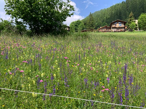 In Val Maira it seems that time has stopped. One of the interesting places to visit is the highest library in Europe