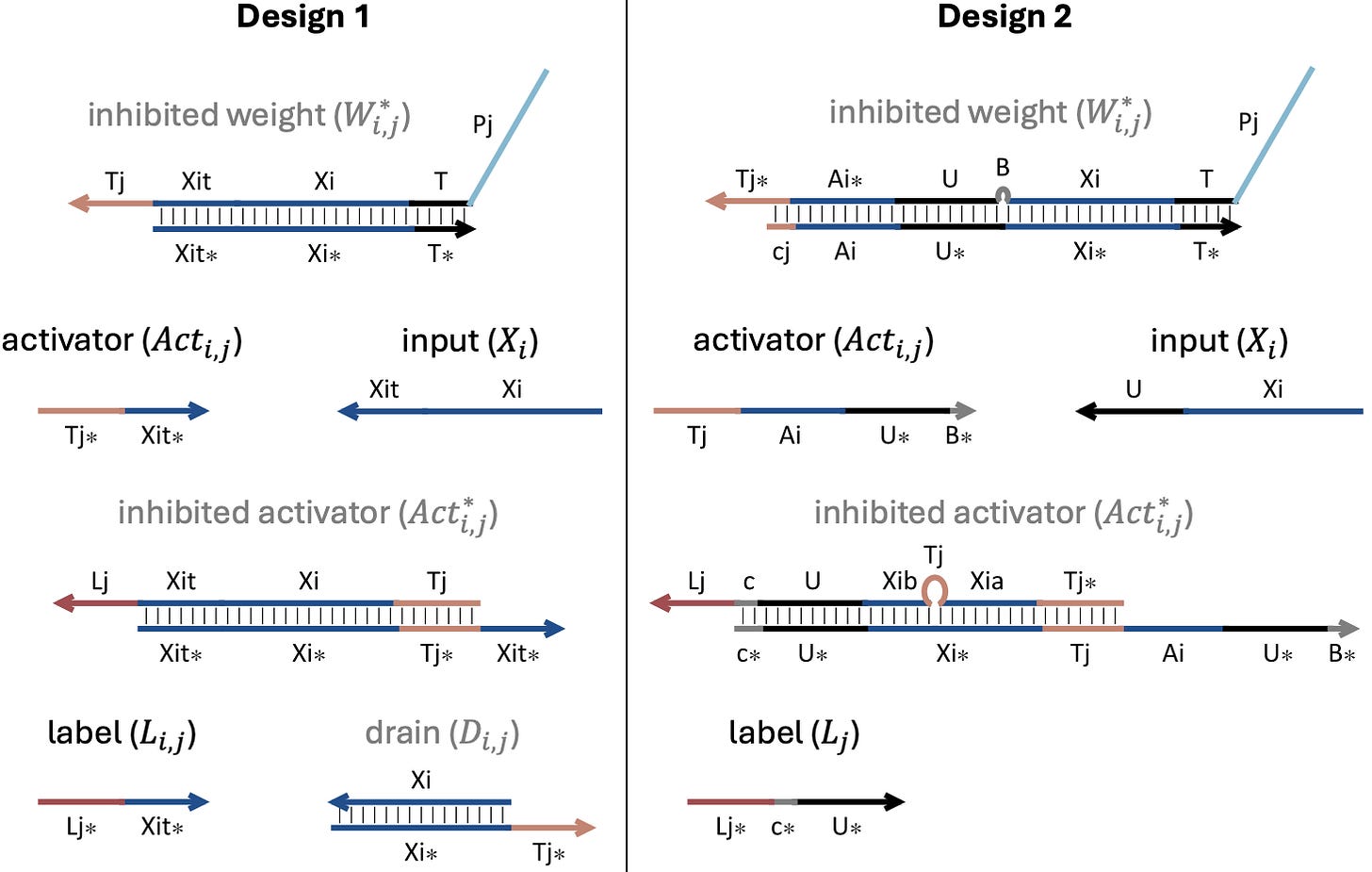 The image shows two design diagrams comparing inhibited weight, activator, and label configurations. The diagrams illustrate different layouts and components, with Design 1 showing a simpler arrangement compared to Design 2's more complex structure with additional elements and connections.
The key components shown in both designs include:
- Inhibited weight (W*i,j)
- Activator (Act i,j)
- Inhibited activator
- Label sections
- Various nodes and connections marked with symbols like Tj, Xi, U, B
Design 2 introduces additional elements and more intricate pathways compared to Design 1, with both designs using color-coding (blue and red) to distinguish different parts of the system.