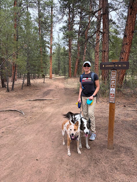 two cattle dogs hiking on a trail with many boulders