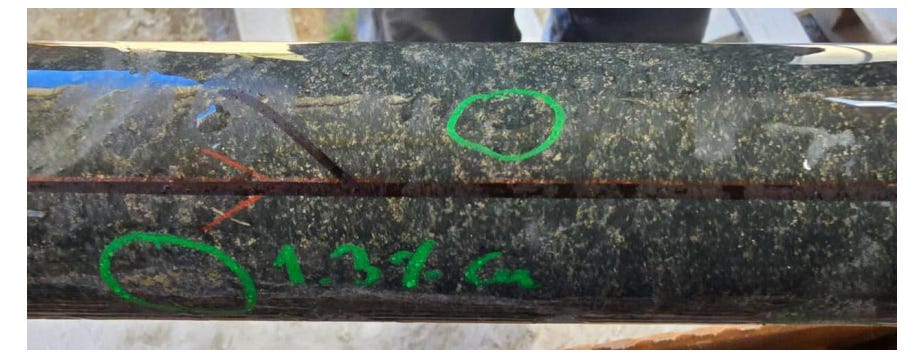 Drill core close-up showing fine sulphide flecks highlighted with green circles and marked 1.3% Cu.