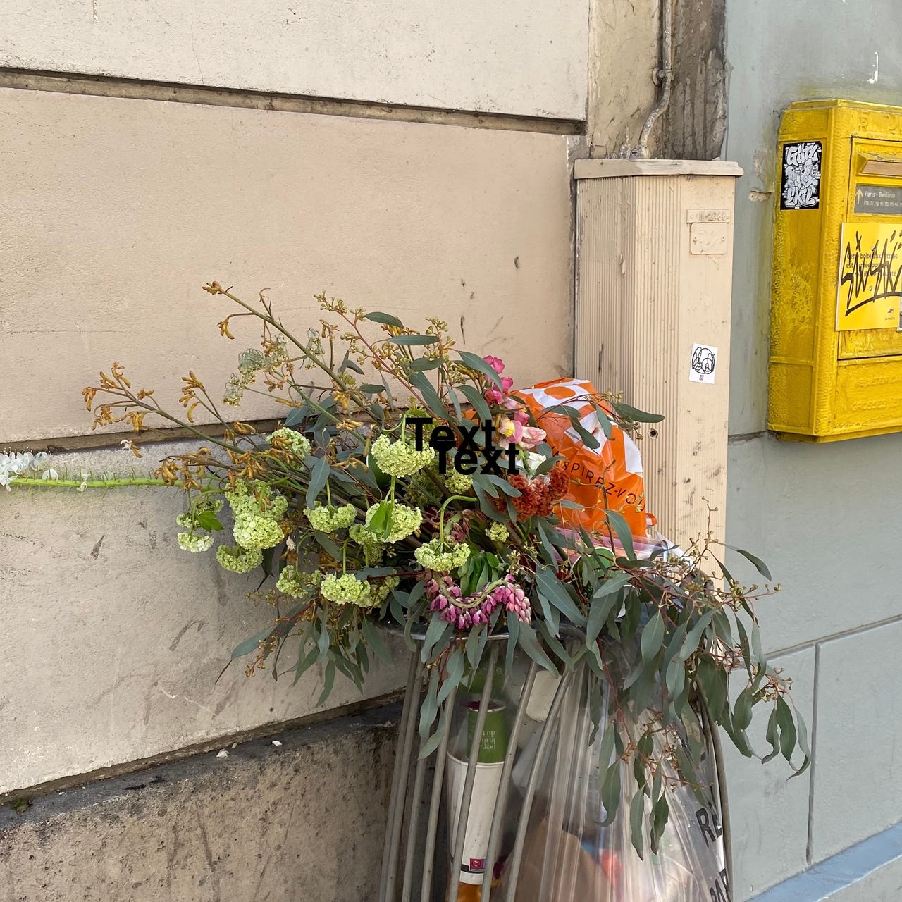 The Emotional Monkey 