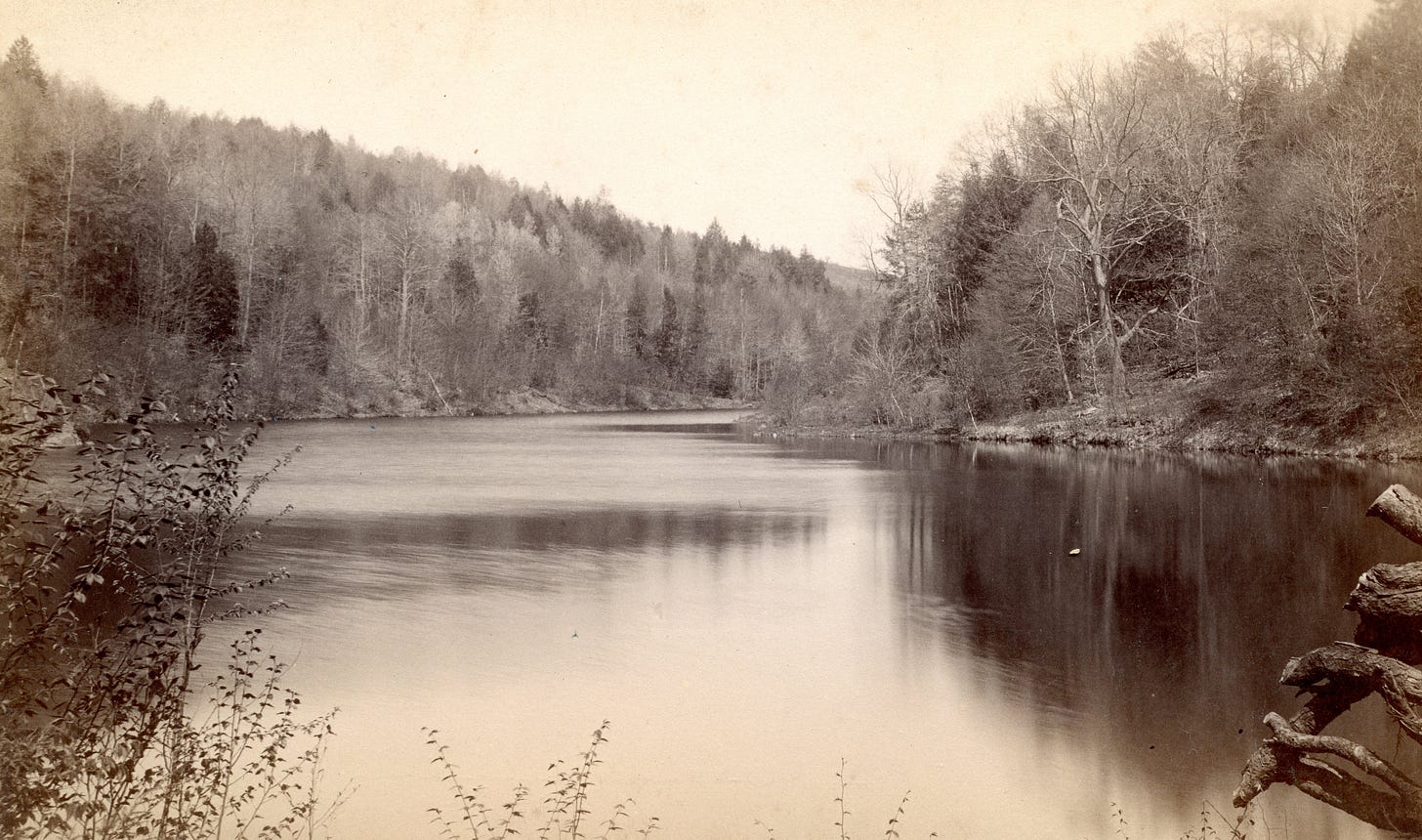 pond or river
