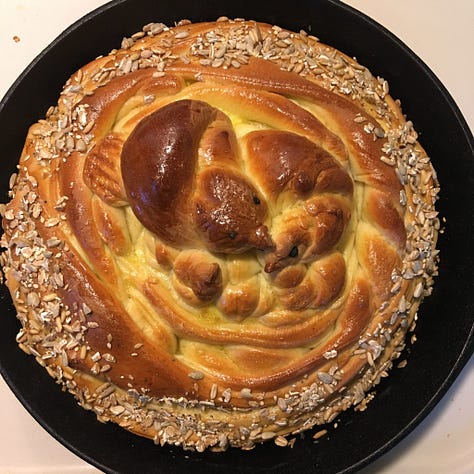 Several photos of challah that I’ve made for Shabbat Shirah in the shape of birds in a nest.