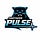 Panthers Pulse