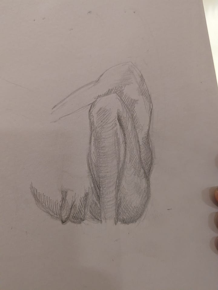 life drawings of nude male