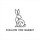 Follow the Rabbit