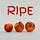 RIPE