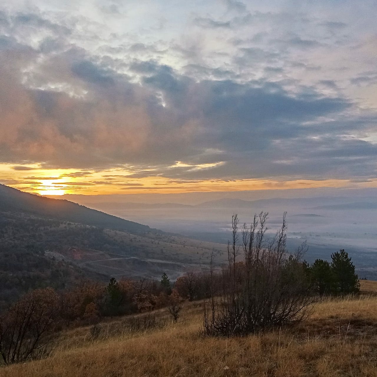 The Threadwalker's Field
