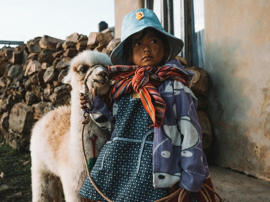 girl wearing multicolored dress standing near white llama girl wearing multicolored dress standing near white llama