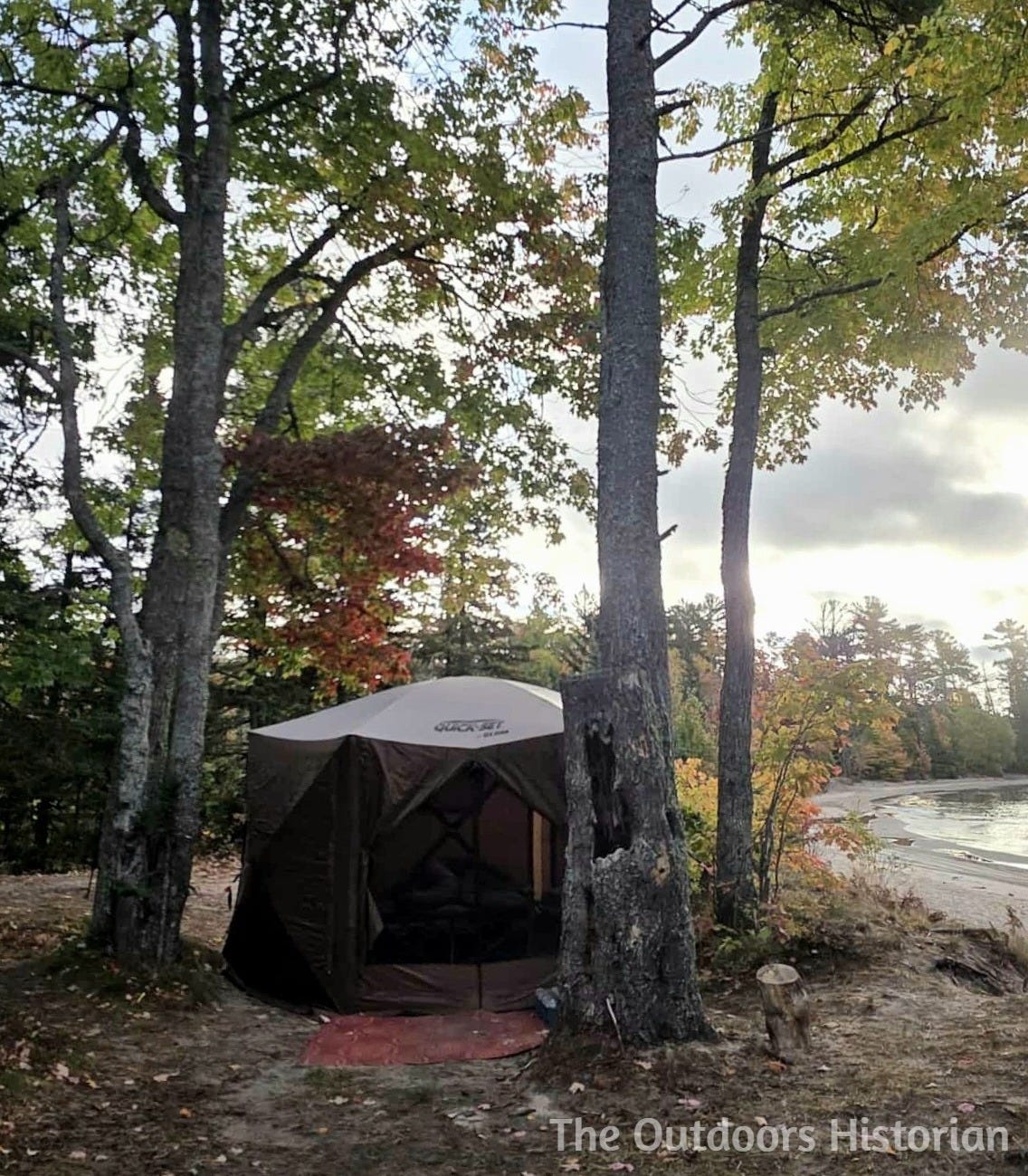 A pop-up Clam tent in the trees on a low bank on the shore of a sandy bay. 