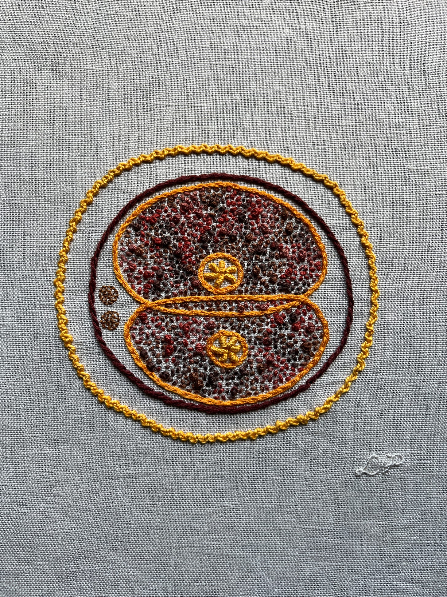 Autumnal Mitosis Sampler (2024). Two cells dividing embroidered on off white linen. A circle of brown stem stitch is the cell membrane, the corona radiata is in bright orangey yellow zig zag chain stitch. The edges of the dividing cells are in bright orange split stitch. The nucleolus of each cell is in bright yellow bullion stitch. The cytoplasm is stitched in variegated orange/brown thread in a mix of seed stitch and French knots. Lia’s initials are stitched in off white whipped back stitch.