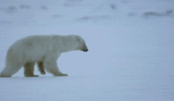 My favourite icebreaker. Daily blog #11 | by Ben Cohen | Medium