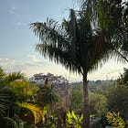 A Year in Oaxaca: Prologue
