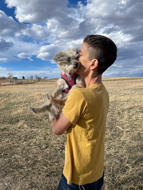 Photo 1: A small fluffy dog, Squash Gibson with windswept fur pokes its head out of a bright green dog backpack, enjoying the ride as Andrea Gibson in a striped shirt and purple beanie walks through an open landscape under a dramatic sky. Photo 2: Andrea Gibson in a gray hoodie and maroon beanie looks up at a small dog, Squash Gibson, in a red-and-white striped sweater sitting on a wooden fence, with trees softly blurred in the background. Photo 3: Andrea Gibson wearing a mustard yellow shirt holds a small scruffy dog. Squash Gibson, in a pink harness, kissing the dog’s face in a wide open field under a dramatic, partly cloudy blue sky.