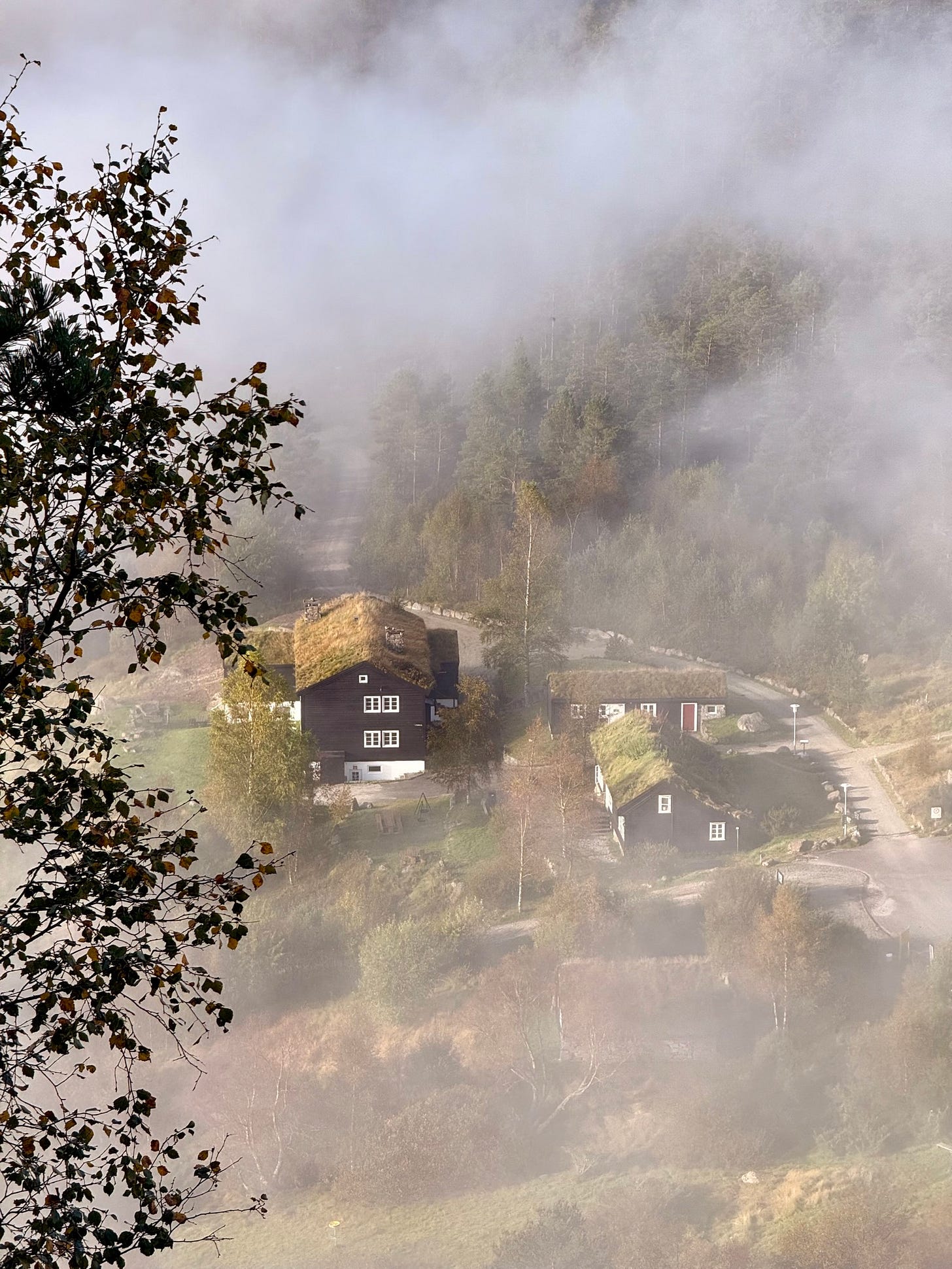 Widok na zamgloną dolinę na początku hike'u na Preikenstolen w Norwegii.
