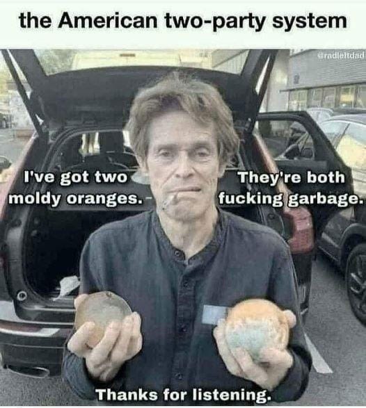 The American Two-Party System: Two Moldy Oranges The American Two-Party System: Two Moldy Oranges