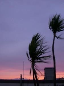 windy_wgtn windy_wgtn