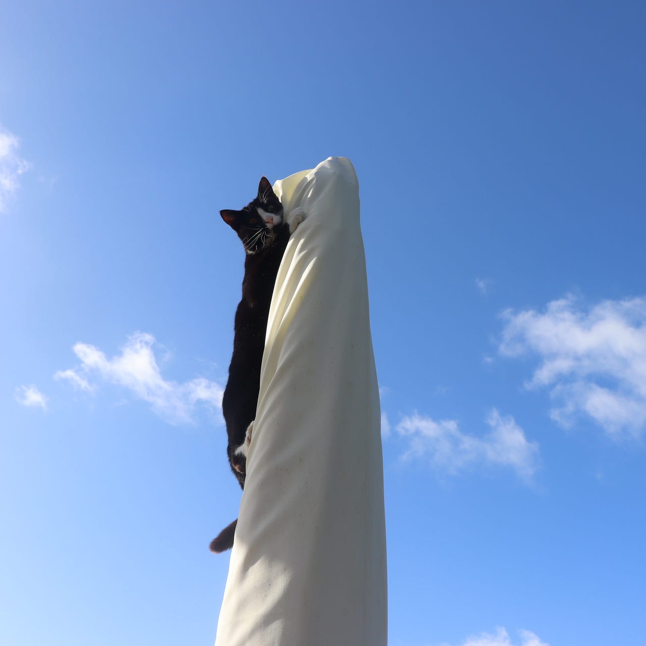 Education ... the absolute best ways.