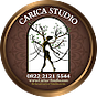 Carica Studio's avatar