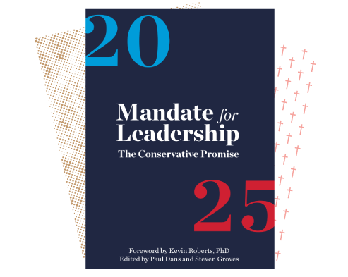 Cover image of Project 2025