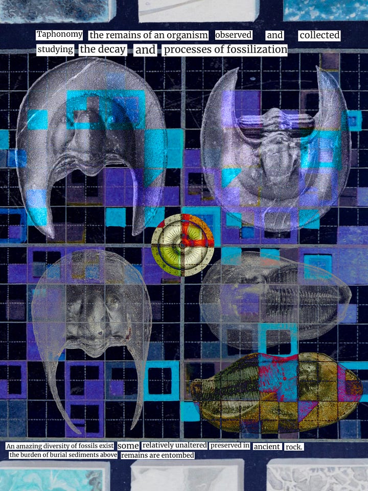 The first image depicts 3D sculptural collage of a blue matryoshka doll; the second image depicts a digitally composed collage including several trilobite species and a blue grid pattern as a background