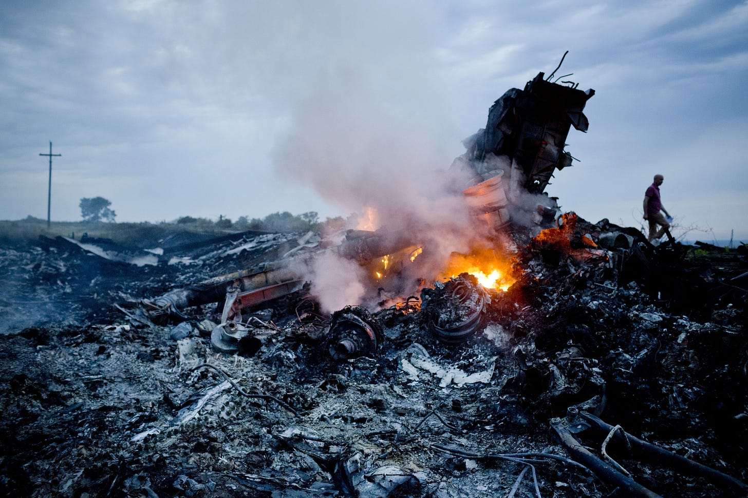 Malaysia Airlines Ukraine Crash: 2 Dogs Aboard Airplane | Time Malaysia Airlines Ukraine Crash: 2 Dogs Aboard Airplane | Time