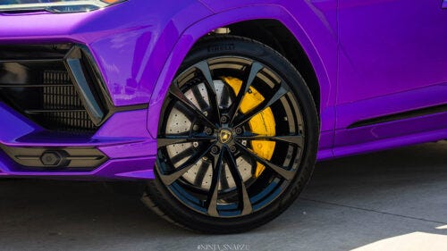 DSC02466-500x281