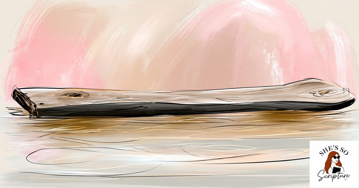 Illustrated weathered wooden plank floating on calm water with a single fading carved letter, in warm blush and cream watercolor tones