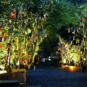 The Wishes We Tie to Tanabata Bamboo