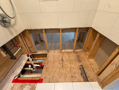 mold remediation