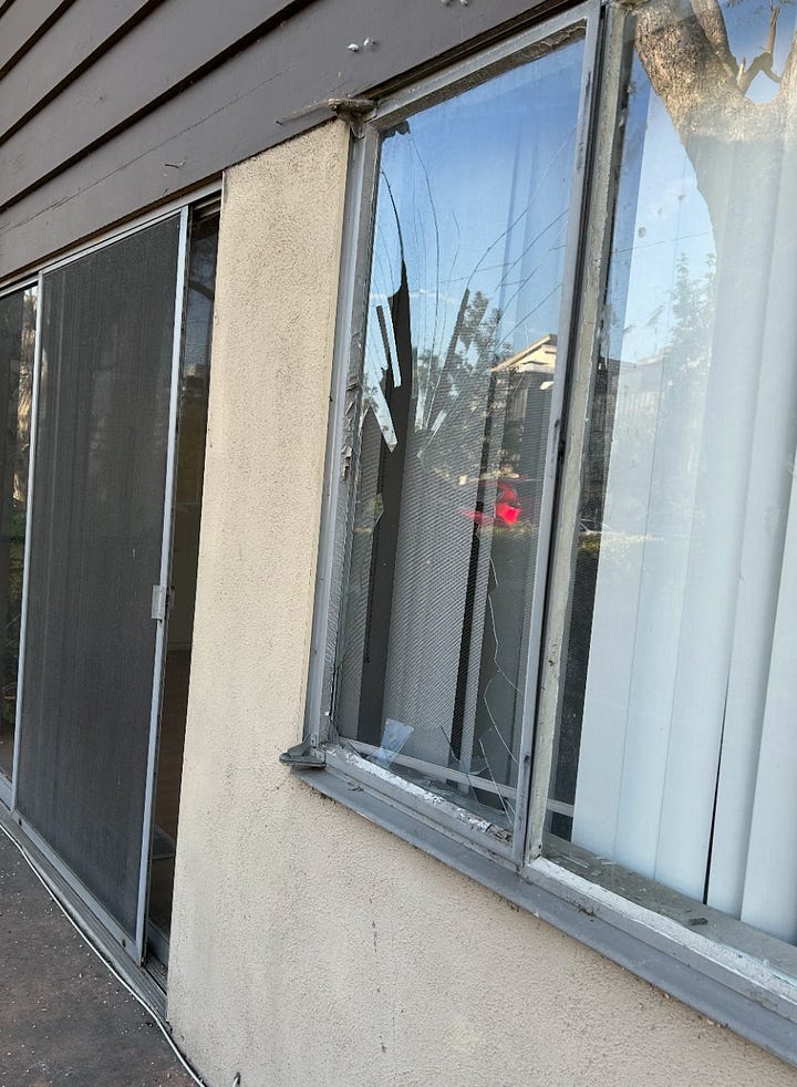 Three pictures showing broken windows at the two-story midcentury modern Glendale Garden Apartments, plus the remains of one of the felled mature trees cut into logs.