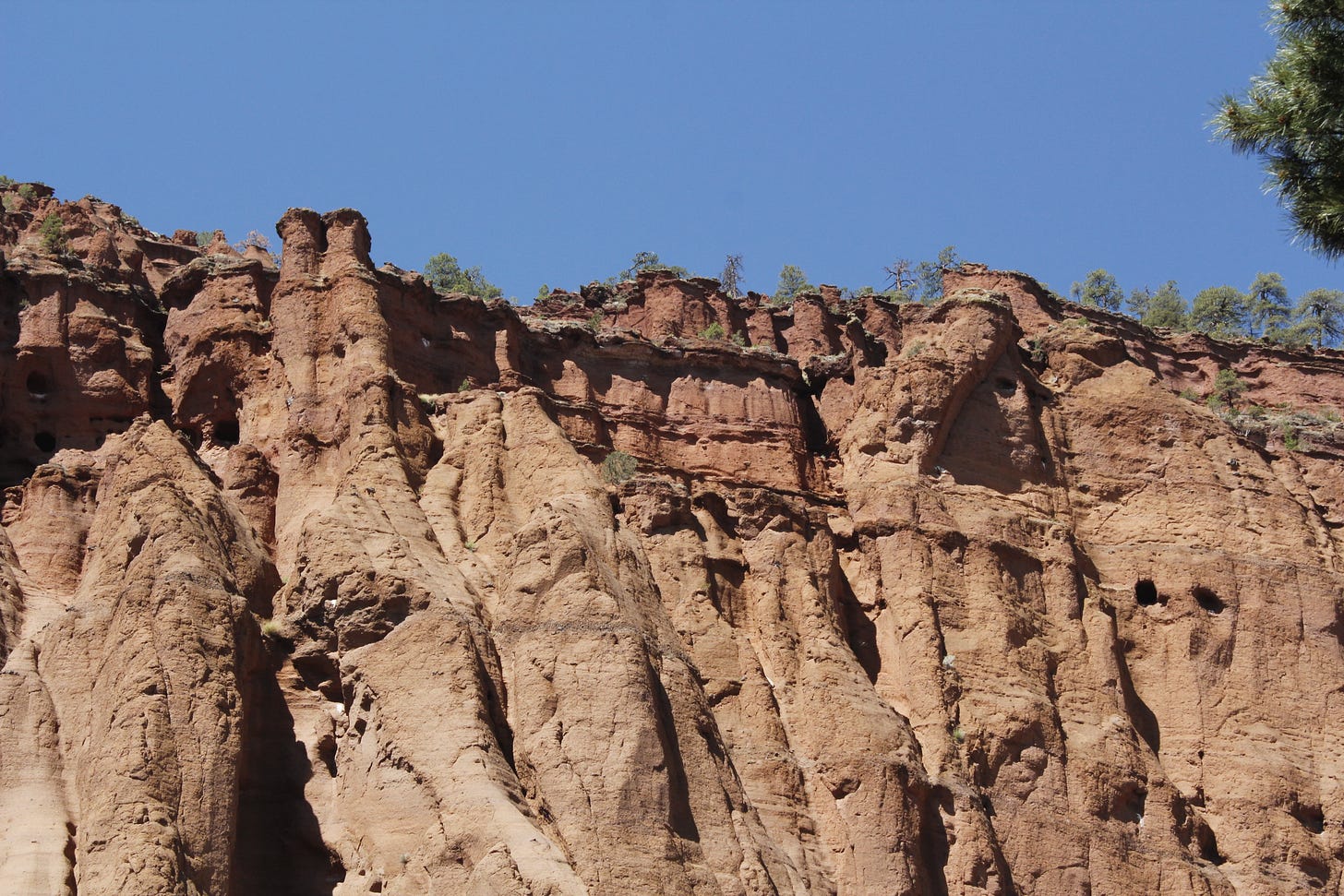 pillar shaped rocks on top of a cliff, photographed from the ground