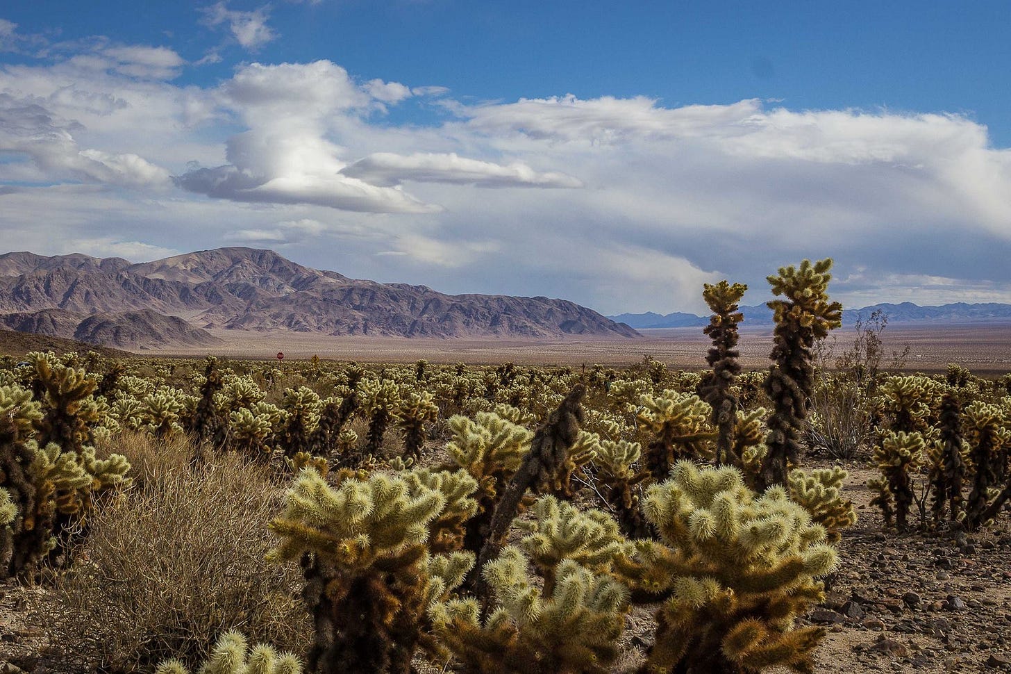 26910914_10155795193761900_6026263000615485069_o