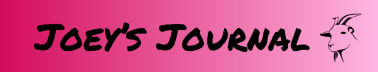 Joey’s Journal