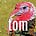 Tom's avatar