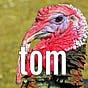 Tom's avatar